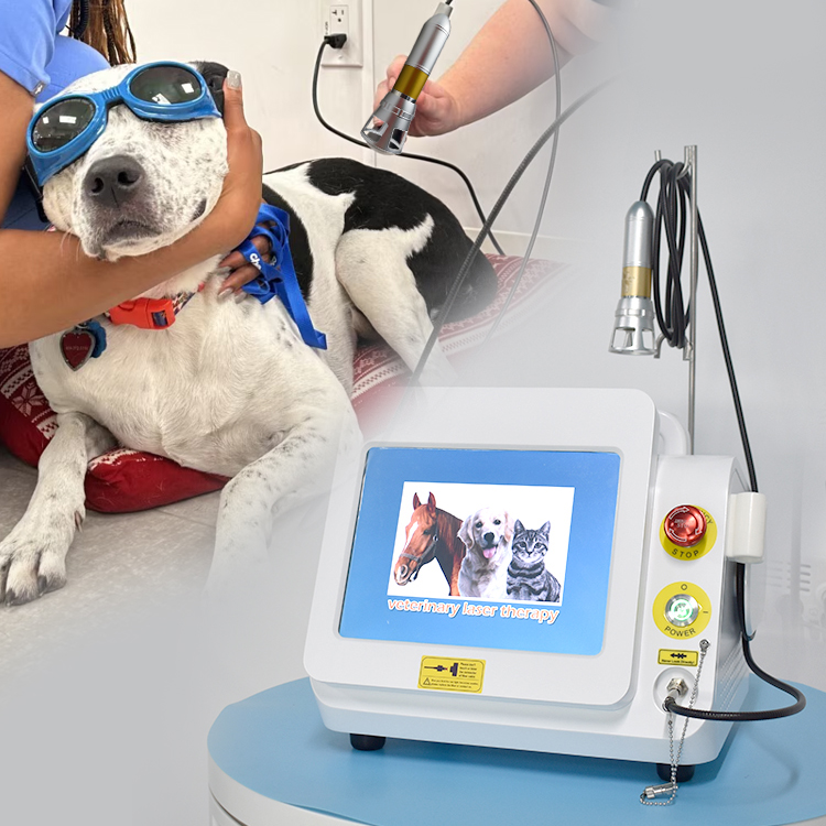 Current Veterinary Therapy 4 Food Anim… Current Veterinary